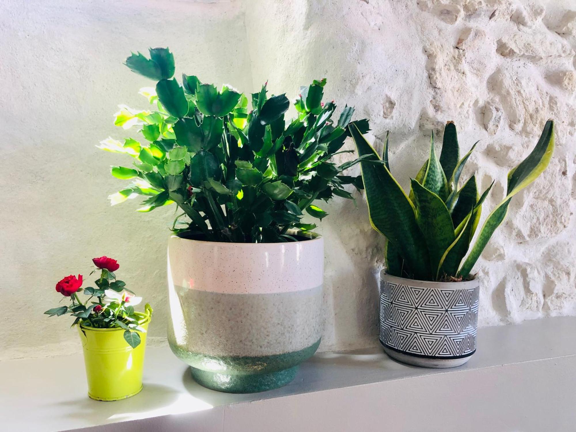 Joli Duplex Avec Terrasse Apartman Marseille Kültér fotó